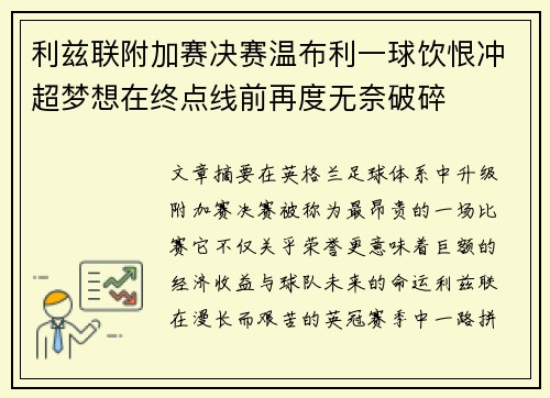 利兹联附加赛决赛温布利一球饮恨冲超梦想在终点线前再度无奈破碎 利兹联附加赛决赛温布利一球饮恨冲超梦想在终点线前再度无奈破碎