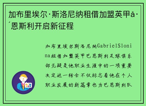 加布里埃尔·斯洛尼纳租借加盟英甲巴恩斯利开启新征程
